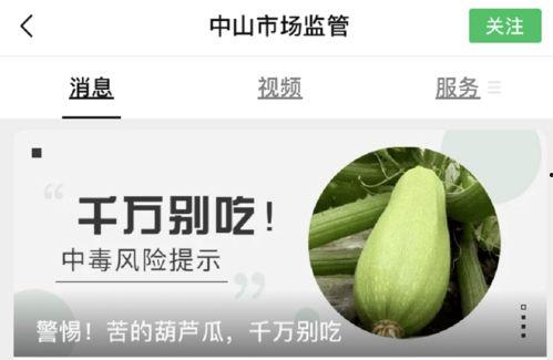 吃葫芦瓜视频素材下载免费,免费下载视频，解锁家常烹饪秘诀  第3张